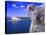 Portrayal of Opera House and Koala, Sydney, Australia-Bill Bachmann-Premier Image Canvas