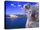 Portrayal of Opera House and Koala, Sydney, Australia-Bill Bachmann-Premier Image Canvas