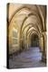 Portugal, Coimbra. Old Cathedral Cloister. Archways, Walking Paths, Courtyard-Emily Wilson-Premier Image Canvas