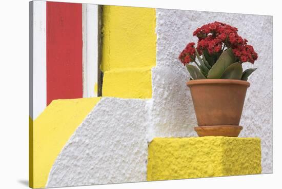 Portugal, Costa Nova do Prado. Colorful house with flowering plant on step.-Brenda Tharp-Premier Image Canvas