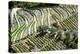 Portugal, Douro Valley, Terraced Vineyards Lining the Hills-Terry Eggers-Premier Image Canvas