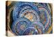 Portugal, Evora, Hand Painted Ceramic Plates-Jim Engelbrecht-Premier Image Canvas