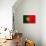 Portugal Flag Design with Wood Patterning - Flags of the World Series-Philippe Hugonnard-Stretched Canvas displayed on a wall