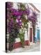 Portugal, Obidos. Beautiful bougainvillea blooming in the town of Obidos, Portugal.-Julie Eggers-Premier Image Canvas