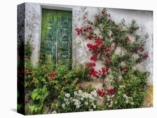 Portugal, Obidos. Flowers growing on wall of house with green door-Terry Eggers-Premier Image Canvas