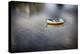 Portugal, Tavira, Lone Boat at Anchor in Bay-Terry Eggers-Premier Image Canvas