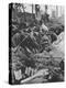 Portuguese Expeditionary force at the Battle of the Lys, 1918-null-Premier Image Canvas