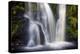 Posforth Gill Waterfall, Bolton Abbey, Yorkshire Dales, Yorkshire, England, United Kingdom, Europe-Bill Ward-Premier Image Canvas