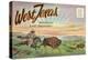 Postcard Folder, West Texas, America's Last Frontier-null-Stretched Canvas