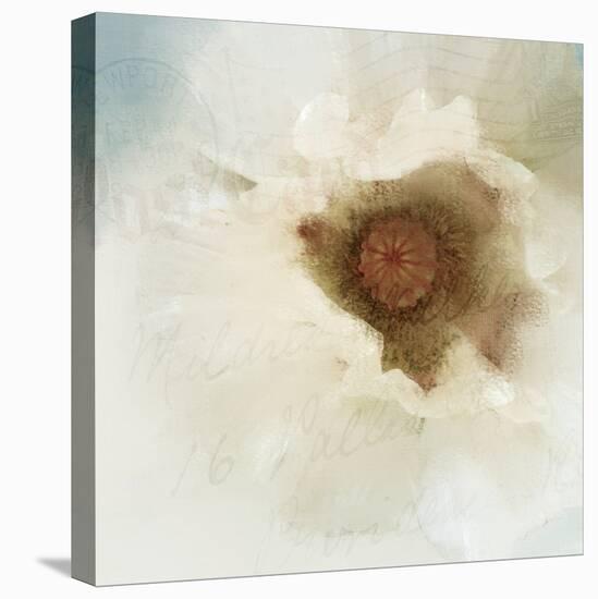 Postcard Poppy-Kimberly Allen-Stretched Canvas