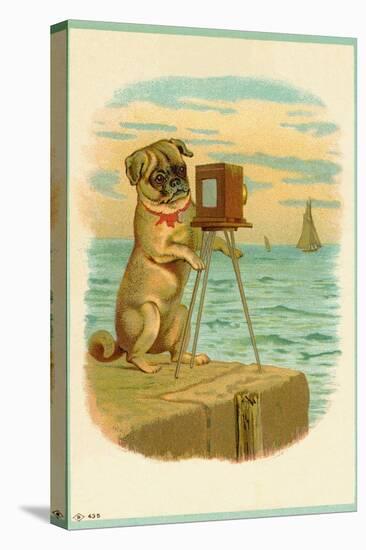 Postcard with a Pug and Camera-null-Premier Image Canvas