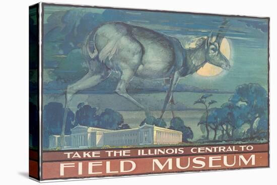 Poster for Field Museum with Horned Antelope-null-Premier Image Canvas