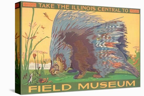 Poster for Field Museum with Porcupine-null-Premier Image Canvas