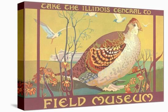 Poster for Field Museum with Quail-null-Premier Image Canvas