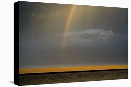 Pot of Gold-Valda Bailey-Premier Image Canvas