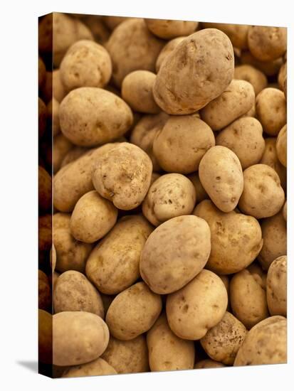 Potatoes at Sunday Morning Market, Pollenca, Tramuntana, Mallorca, Spain-Andrew Stewart-Premier Image Canvas