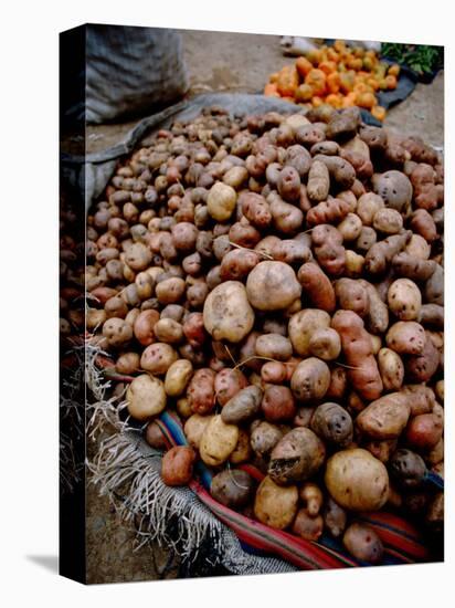 Potatoes in Local Farmer's Market, Ollantaytambo, Peru-Cindy Miller Hopkins-Premier Image Canvas