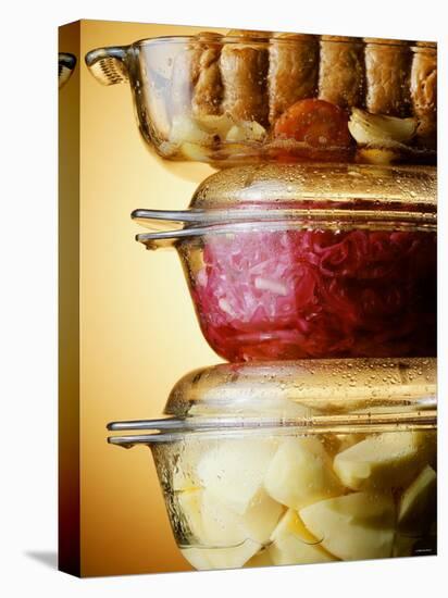 Potatoes, Red Cabbage & Meat in Glass Pots-Wolfgang Usbeck-Premier Image Canvas