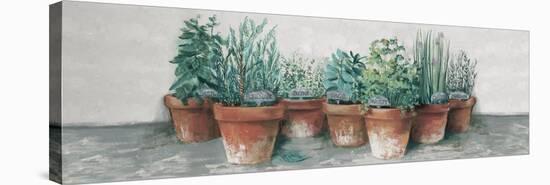 Pots of Herbs II Cottage v2-Carol Rowan-Stretched Canvas