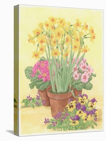 Pots of Spring Flowers, 2003-Linda Benton-Premier Image Canvas