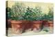 Potted Herbs I-Carol Rowan-Stretched Canvas