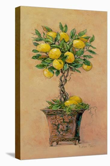 Potted Lemons-Barbara Mock-Premier Image Canvas