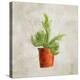 Potted Life 2-Kimberly Allen-Stretched Canvas