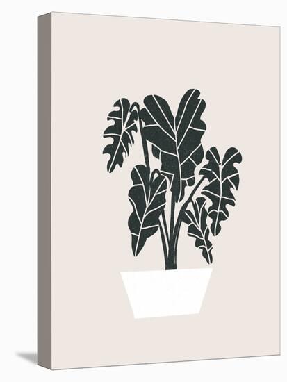 Potted Monsterra Plant 5-null-Stretched Canvas