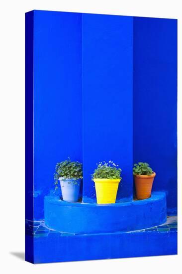 Potted Plants and Bright Blue Paintwork-Matthew Williams-Ellis-Premier Image Canvas