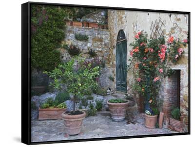 Potted Plants Decorate A Patio In Tuscany Petroio Italy Framed
