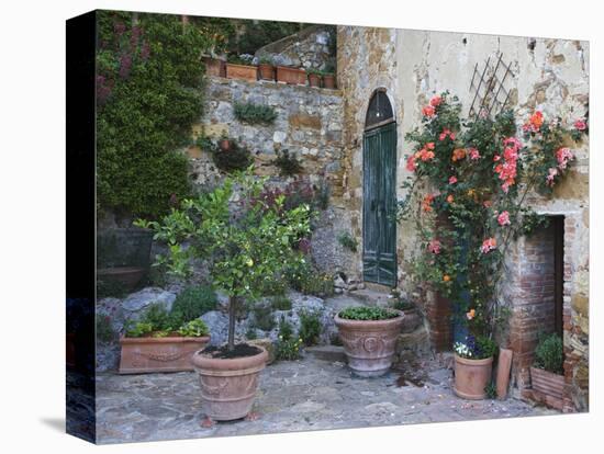 Potted Plants Decorate a Patio in Tuscany, Petroio, Italy-Dennis Flaherty-Premier Image Canvas