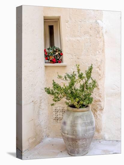 Potted plants outside the Sassi houses.-Julie Eggers-Premier Image Canvas