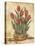 Potted Tulips-Tina Chaden-Stretched Canvas