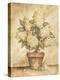 Potted White Hydrangea-Tina Chaden-Stretched Canvas