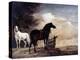 Potter: Horses, 1649-Paul Potter-Premier Image Canvas