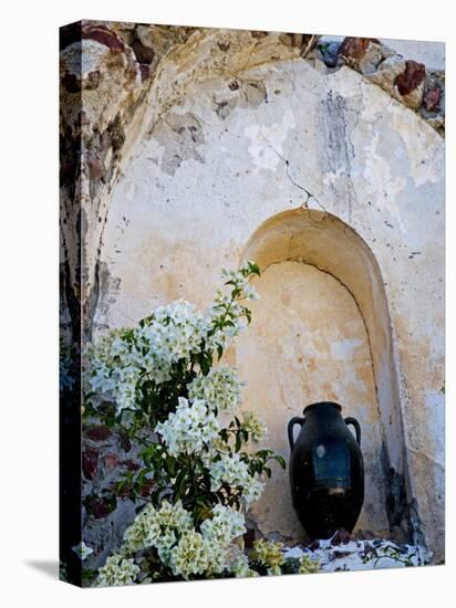 Pottery and Flowering Vine, Oia, Santorini, Greece-Darrell Gulin-Premier Image Canvas