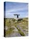 Poulnabrone Dolmen Portal Megalithic Tomb, the Burren, County Clare, Munster, Republic of Ireland-Gary Cook-Premier Image Canvas