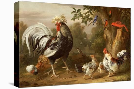 Poultry and Other Birds in the Garden of a Mansion-Jacob Bogdany-Premier Image Canvas