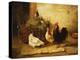 Poultry and Pigeons in an Interior-Walter Hunt-Premier Image Canvas