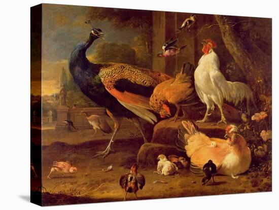 Poultry, c.1670-Melchior de Hondecoeter-Premier Image Canvas