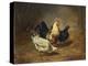 Poultry Feeding-Arthur Fitzwilliam Tait-Premier Image Canvas