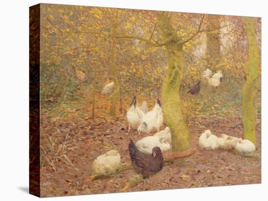 Poultry in a Wood, C.1890-Emile Claus-Premier Image Canvas