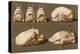 Poultry Ready to Cook-null-Stretched Canvas