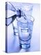 Pouring a Glass of Mineral Water-Regina Hippel-Premier Image Canvas