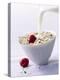 Pouring Milk onto Oat Flakes-null-Premier Image Canvas