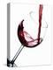 Pouring Red Wine into Wine Glass-Steve Lupton-Premier Image Canvas