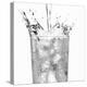 Pouring Water into a Glass-Paul Williams-Premier Image Canvas