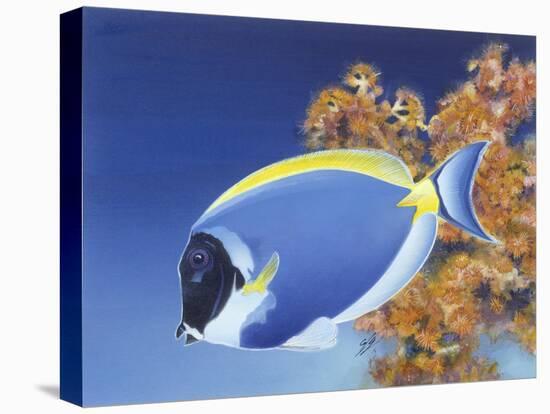 Powder Blue Tang-Durwood Coffey-Premier Image Canvas