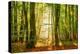 Power Beam-Lars Van de Goor-Premier Image Canvas