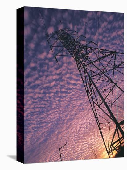 Power Line Tower-Mitch Diamond-Premier Image Canvas